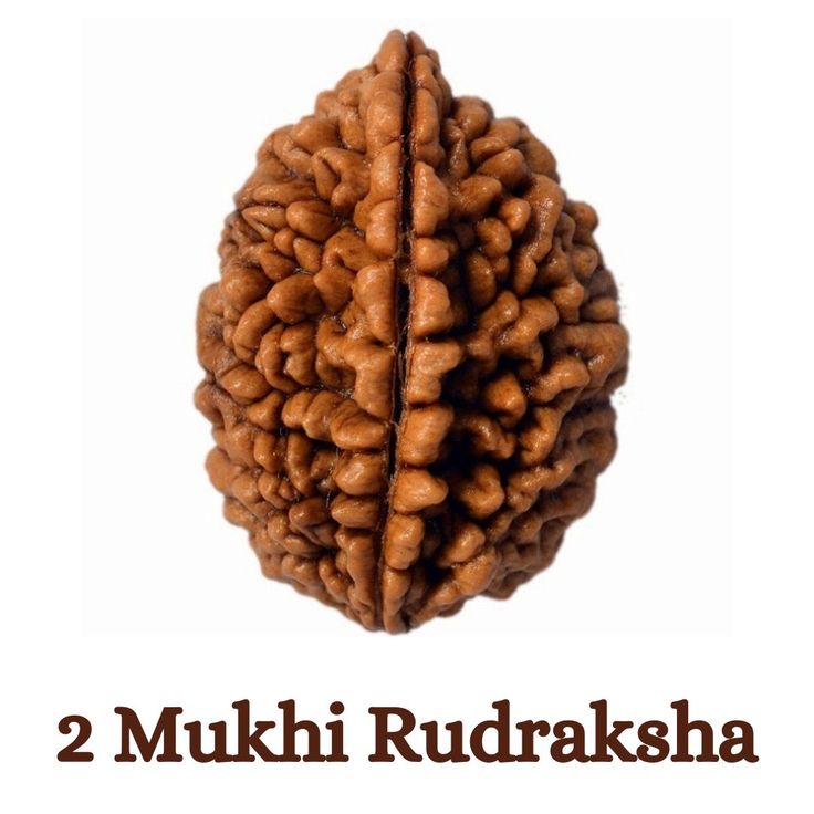 2 MUKHI